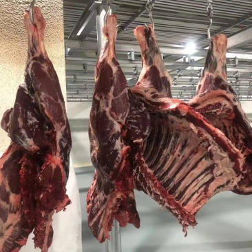 新鲜牛肉