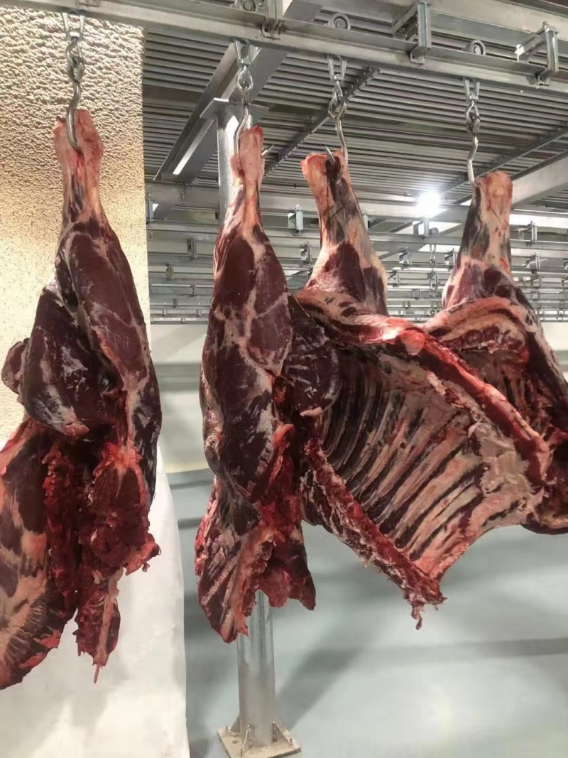 新鲜牛肉