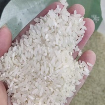 特价大米，超市引流，饭堂炒饭大米