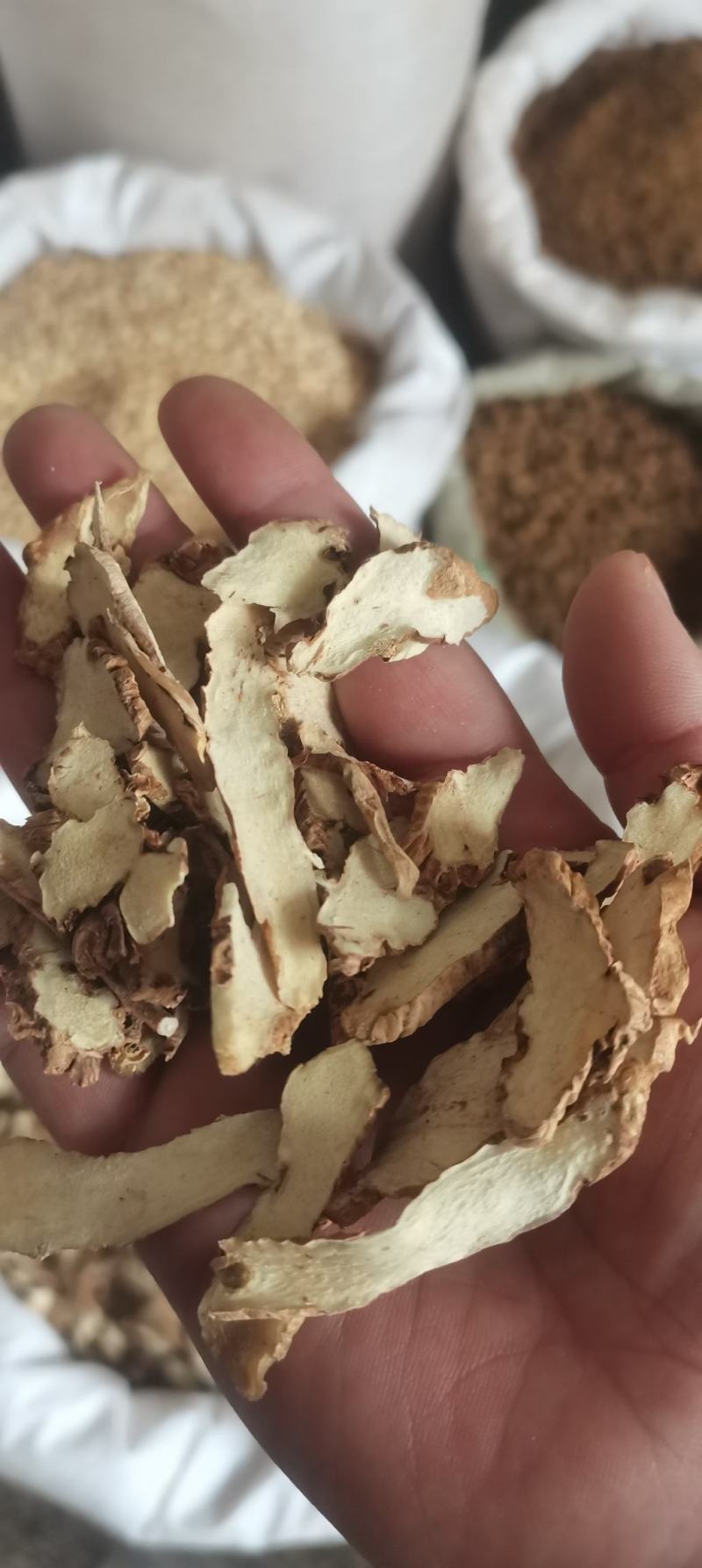 【产地直销】知母知母片毛知母无硫干货河北产中药材