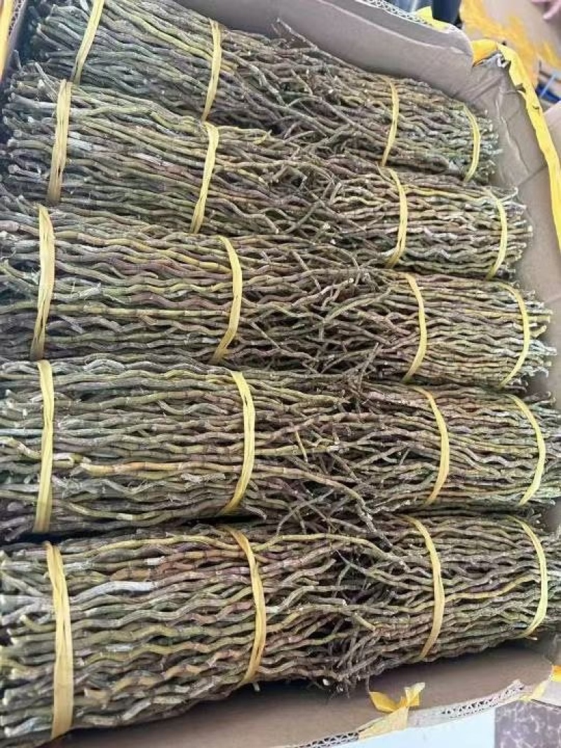 云南铁皮石斛干条，产地直发化渣品质保证，支持视频看货