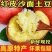 云南红皮土豆马铃薯洋芋批发一件代发