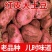 云南红皮土豆马铃薯洋芋批发一件代发