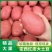 云南红皮土豆马铃薯洋芋批发一件代发