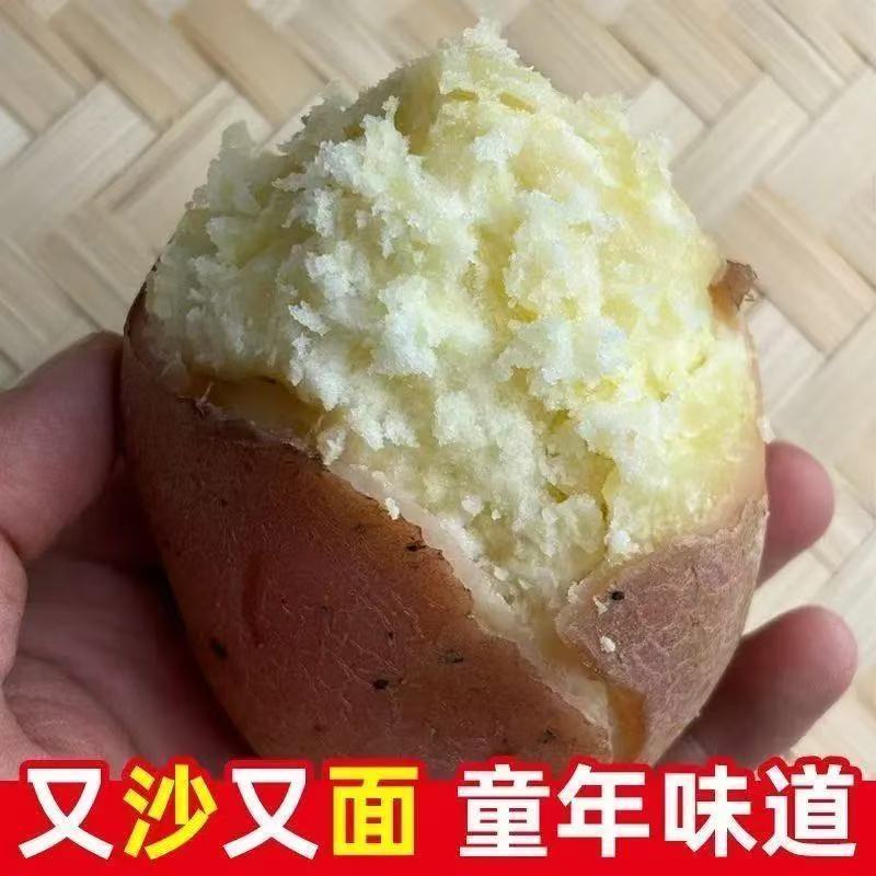 云南红皮土豆马铃薯洋芋批发一件代发