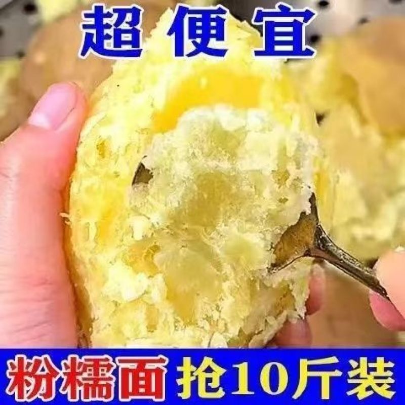云南红皮土豆马铃薯洋芋批发一件代发