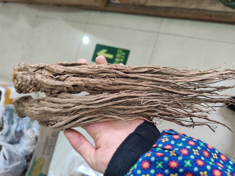 野生当归，品优好，原产地发货，大量供货，批发加零售