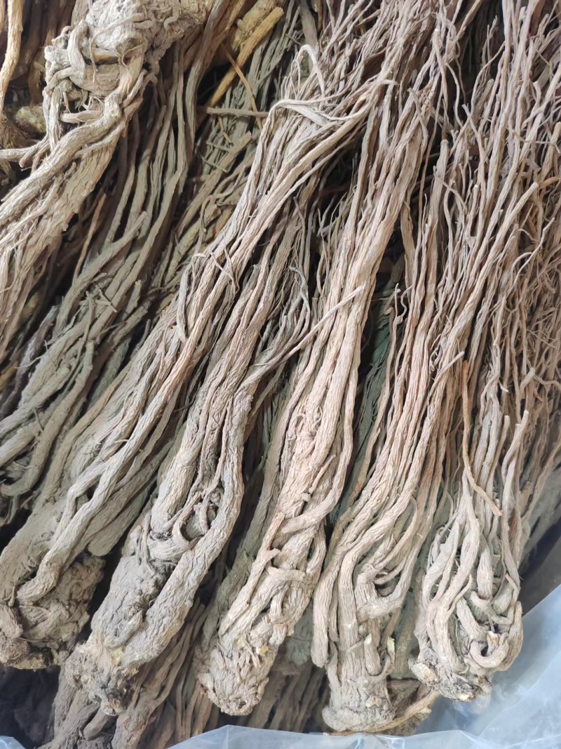 野生当归，品优好，原产地发货，大量供货，批发加零售