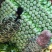 新野县净菜3456斤大量上市！