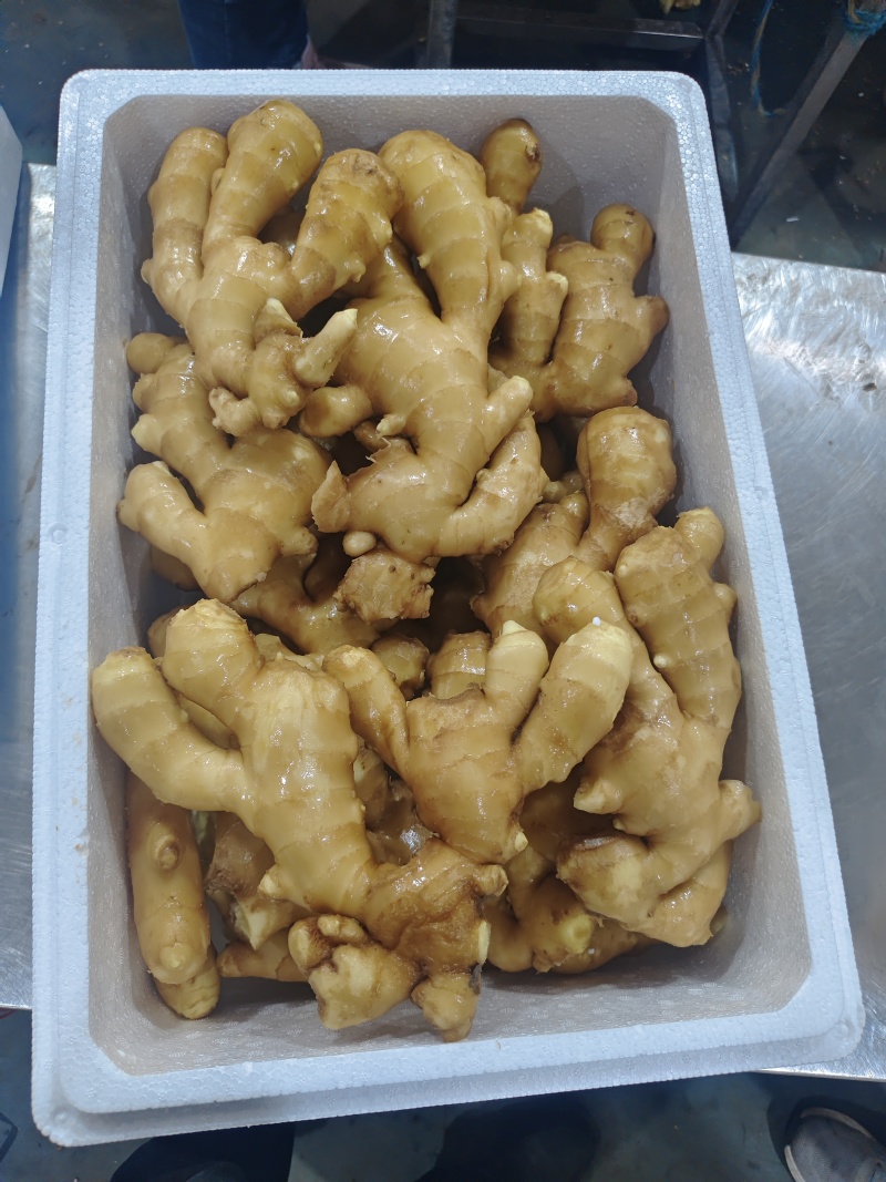 山东大黄姜水洗姜，风干姜产地直供，一手货源