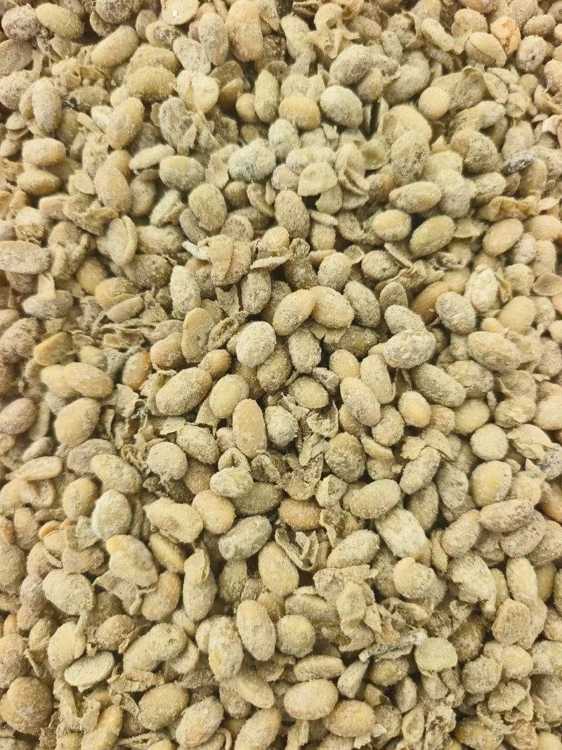 益生菌发酵大豆颗颗都是纯粮食。厂家直销