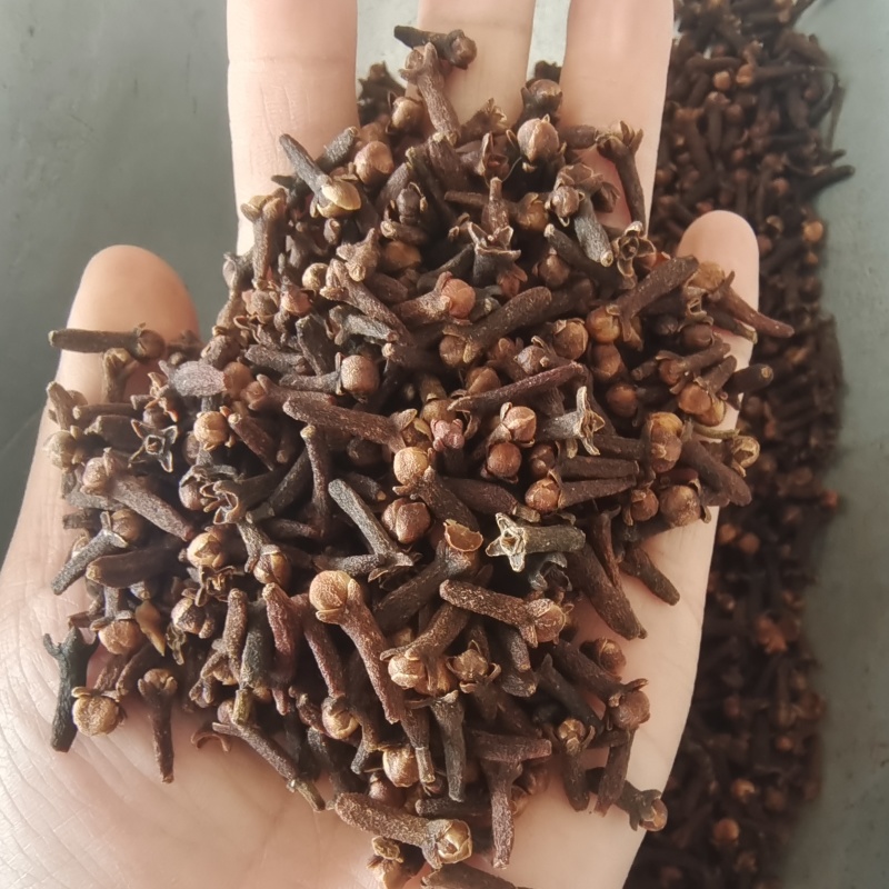 丁香丁香小花统货产地海外地道药材紫轩堂药业