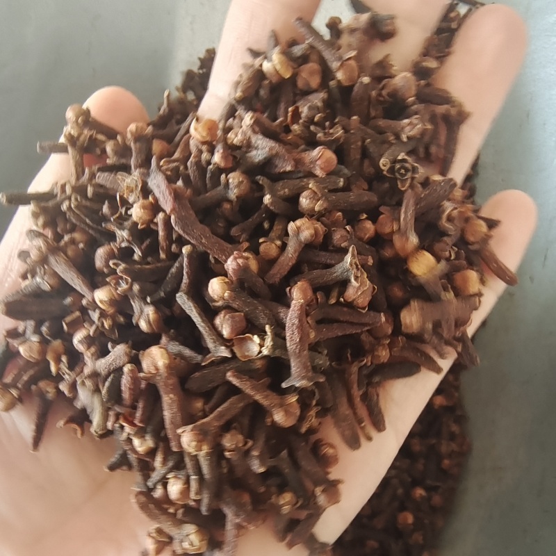 丁香丁香小花统货产地海外地道药材紫轩堂药业