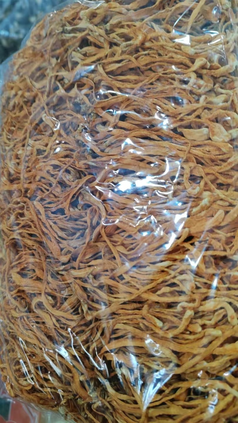 精品虫草花源头产地现货速发量大从优规格齐全价格透明