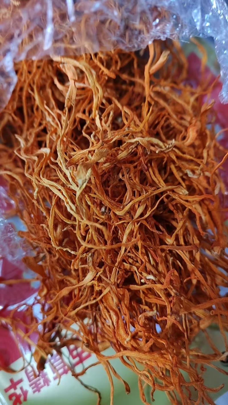 精品虫草花源头产地现货速发量大从优规格齐全价格透明