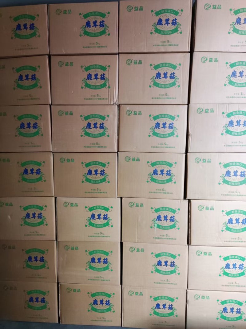 精品鹿茸菇全国可发量大从优现货速发价格透明