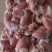 鸡心大肉食鸡心母鸡三黄品种齐全质量产量稳定手续齐全国物流发货