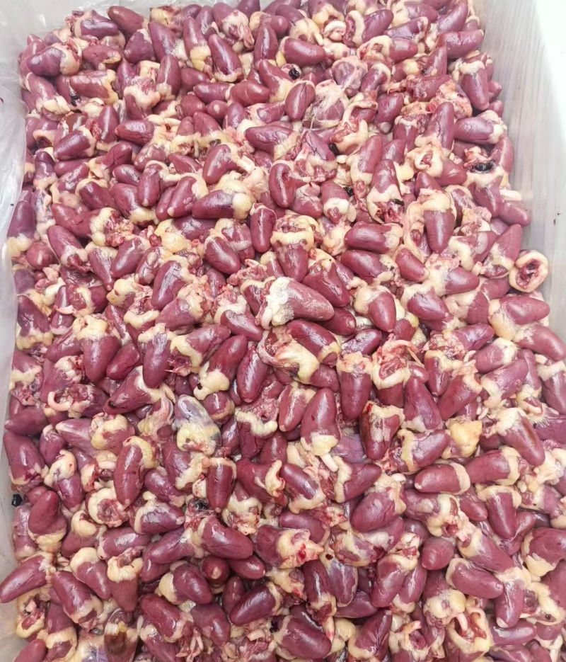 鸡心大肉食鸡心母鸡三黄品种齐全质量产量稳定手续齐全国物流发货