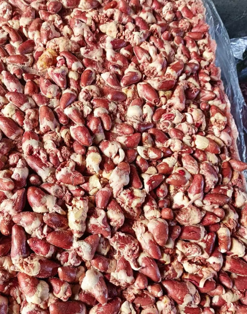 鸡心大肉食鸡心母鸡三黄品种齐全质量产量稳定手续齐全国物流发货