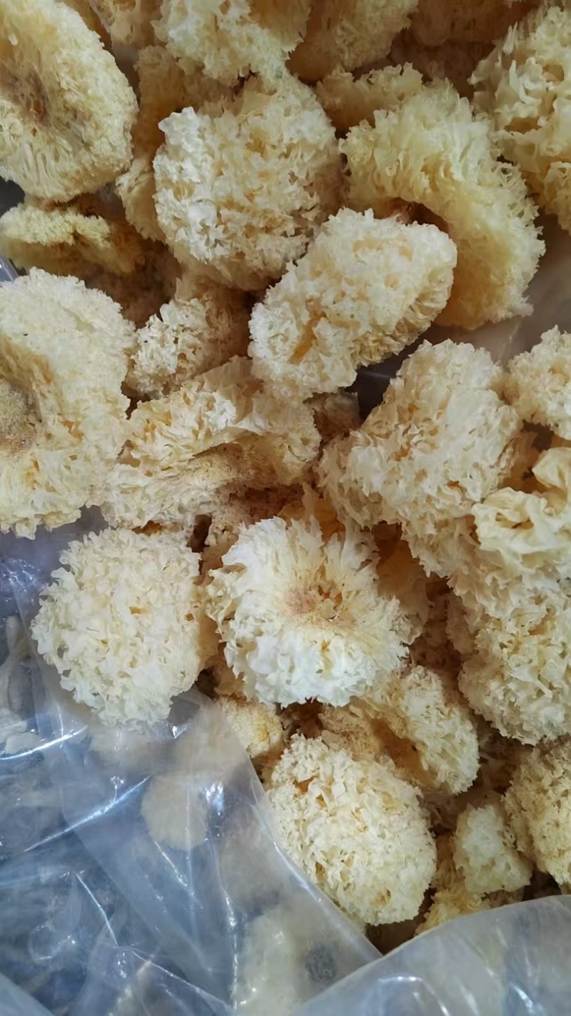 精品银耳源头产地全国可发价格透明视频看货一手货