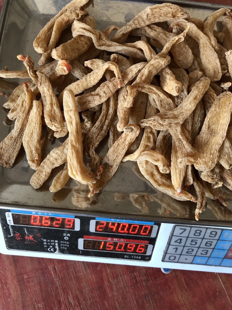 天麻批发湖北大别山罗田天麻批发小天麻价格实惠天麻片