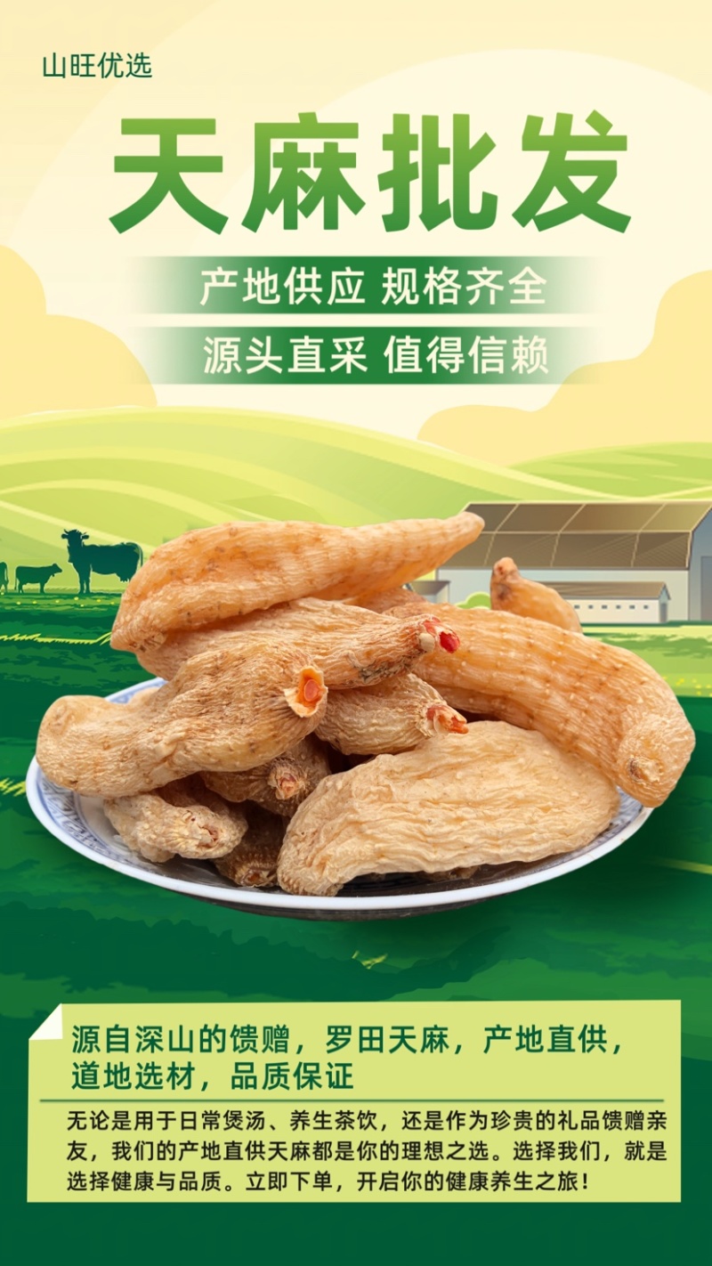 天麻批发湖北大别山罗田天麻批发小天麻价格实惠天麻片