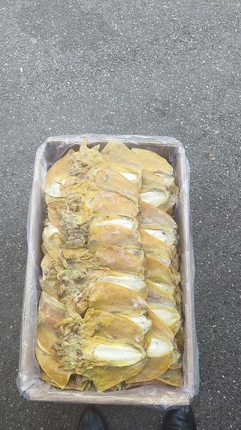 福建墨鱼/浙江墨鱼5-6条，2条，8条，全淡干墨鱼