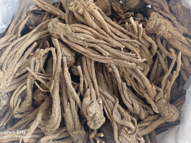 当归，产地甘肃当归个无硫剪须当归个【丹丹中药】