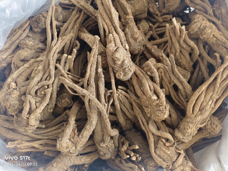 当归，产地甘肃当归个无硫剪须当归个【丹丹中药】