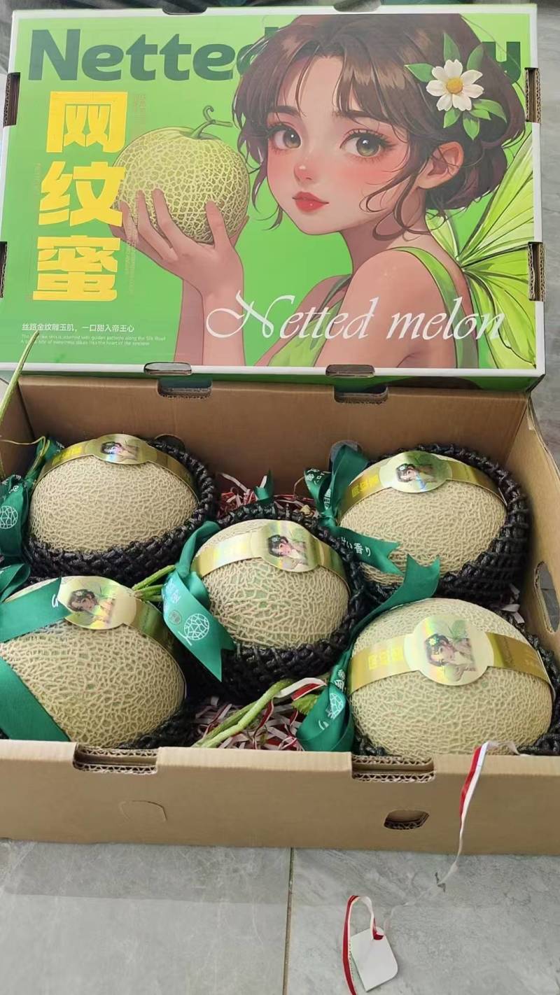 网纹瓜牛三鲁厚甜糖度高大量供应全国电商市场