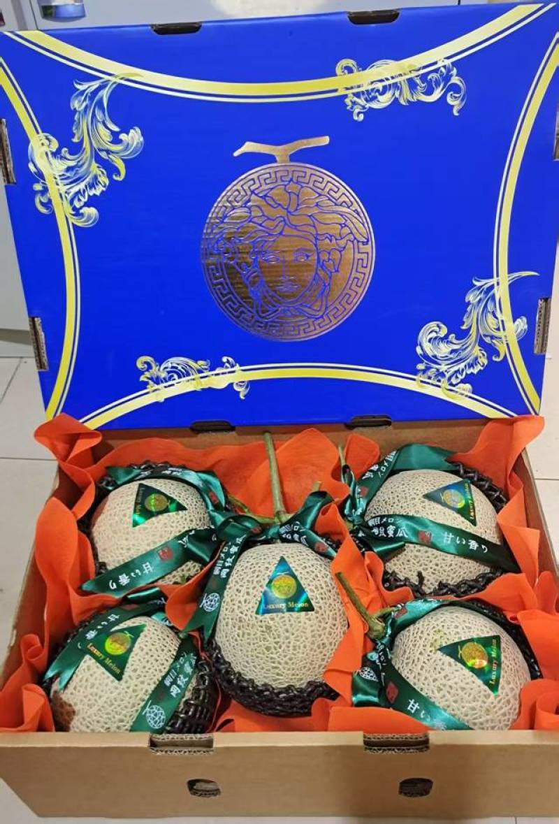 网纹瓜牛三鲁厚甜糖度高大量供应全国电商市场