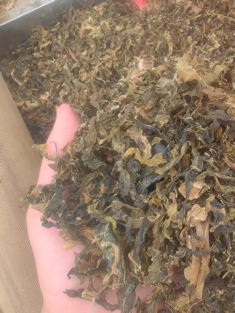 梅干菜，农户自种自销，欢迎合作共赢