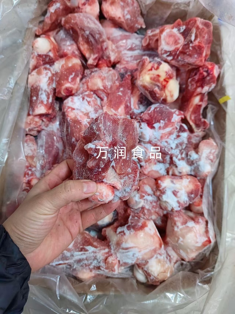 带肉前棒骨，带肉猪骨头