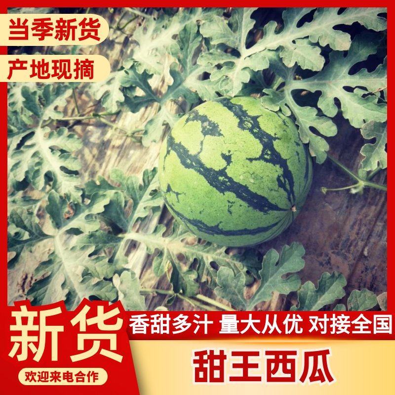山东西瓜，潍坊西甜王西瓜潍坊产区，电商，市场批发