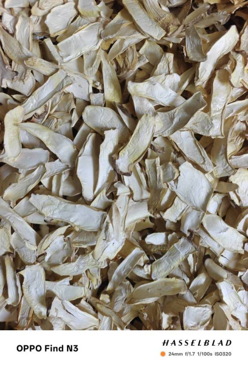 平泉直供鲜嫩杏鲍菇，肉质厚实口感佳，健康美味餐桌优选！