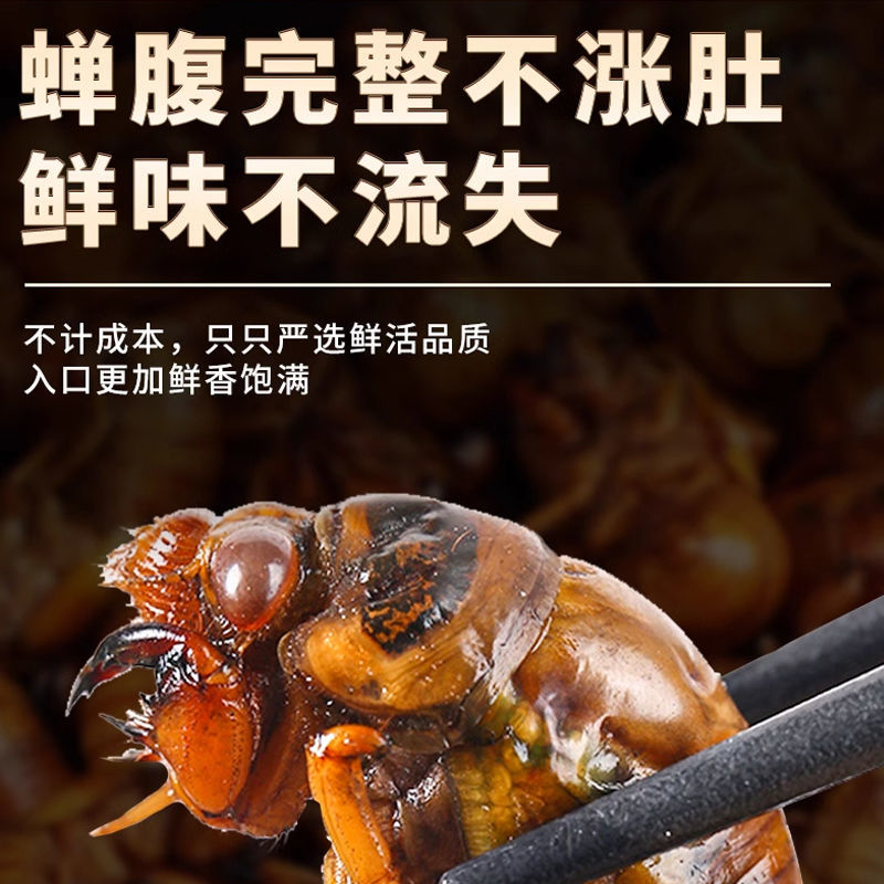 源头大量现货山东新鲜知了猴活体速冻金蝉爬叉猴节流龟唐僧肉