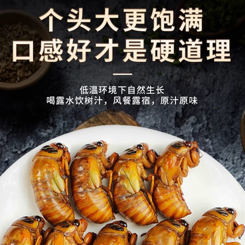 源头大量现货山东新鲜知了猴活体速冻金蝉爬叉猴节流龟唐僧肉