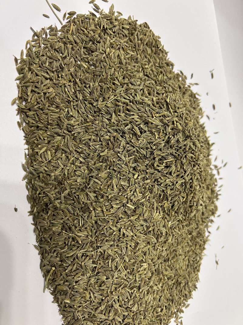 甘肃孜然种植大户，精品货，大量供应