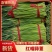 精品蒜苔红帽蒜薹河南通许蒜苔产地直发可视频看货