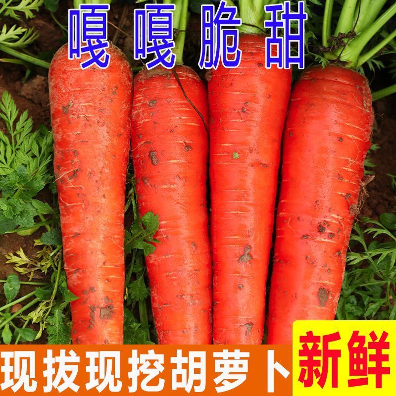 电商市场超市精品泥红萝卜，土货，水洗中条，精品箱子，小条…