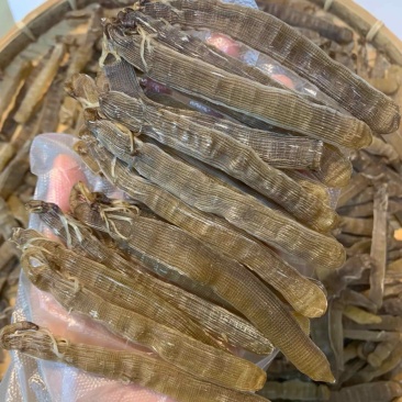 北海沙虫干批发厚肉淡干工厂批发