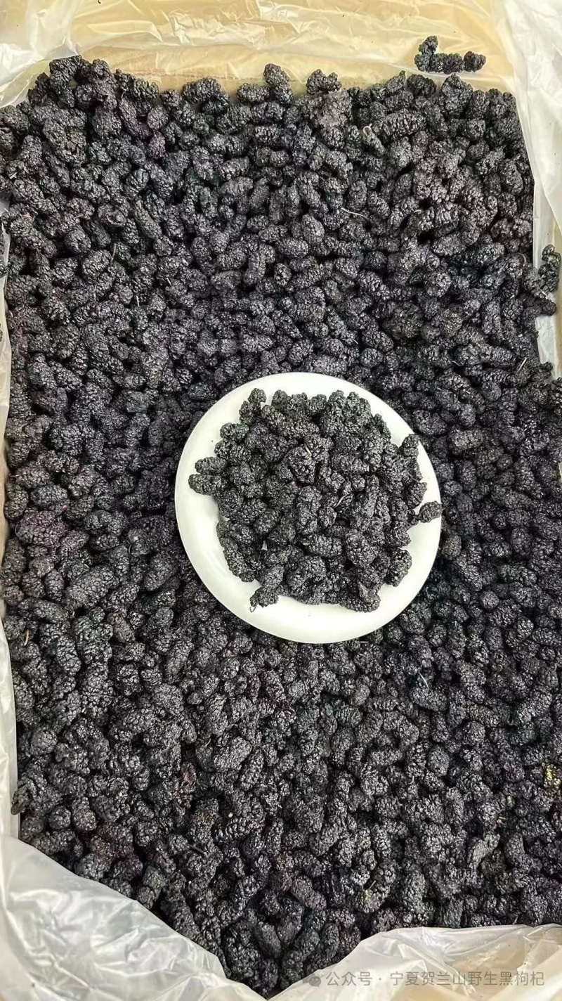桑葚干干桑葚今年新出的桑葚干高糖分桑葚干