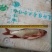 马口鱼