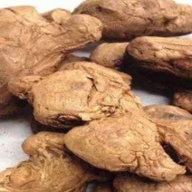 炮姜干姜药材批发炮姜质量保证量大从优