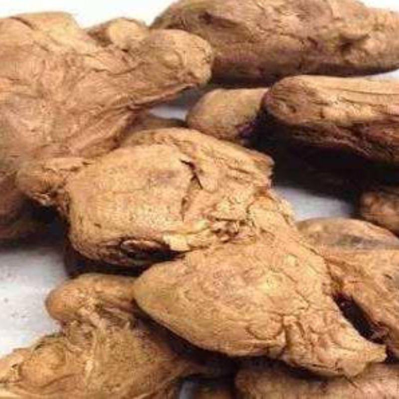 炮姜干姜药材批发炮姜质量保证量大从优