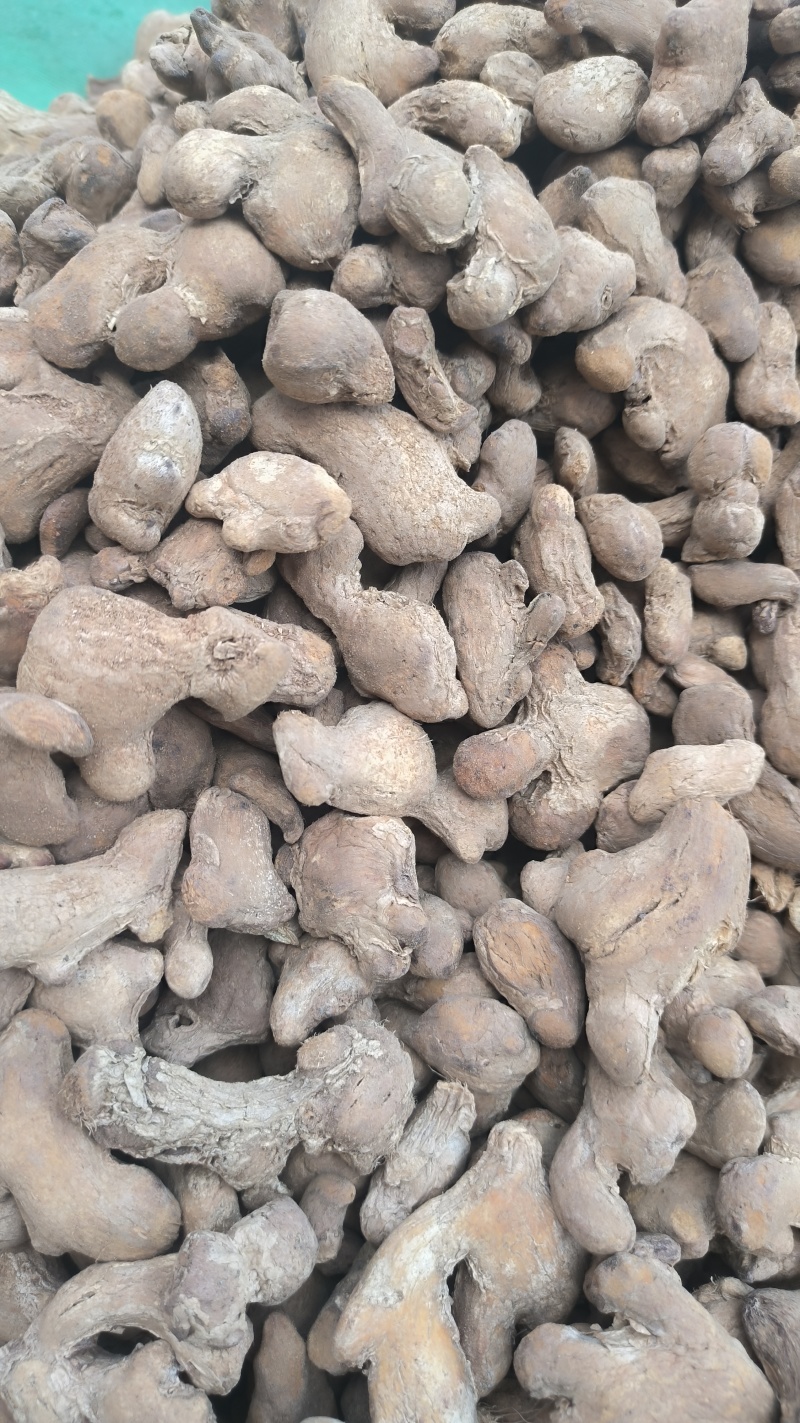 炮姜干姜药材批发炮姜质量保证量大从优