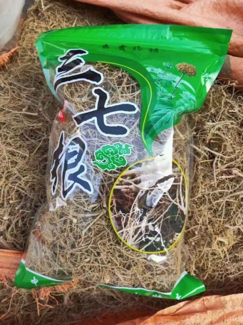 三七根