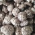 【优选】河南三门峡香菇-茶花菇-产地直发-量大从优