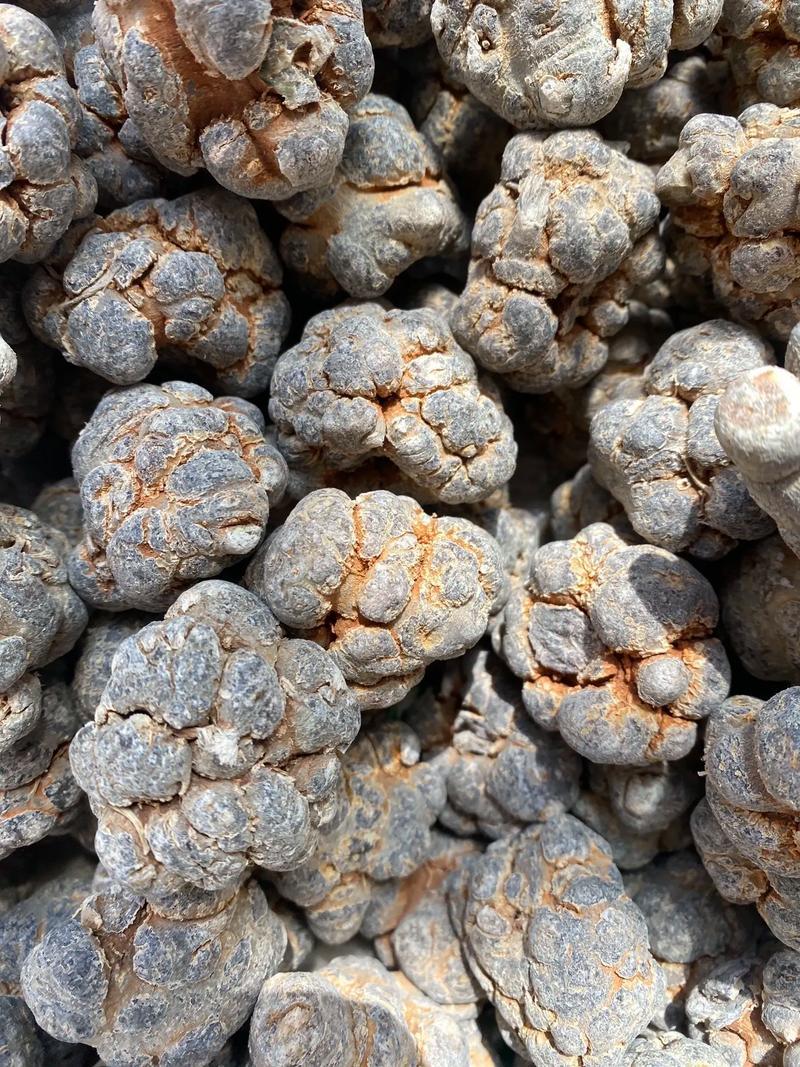 水洗12头带帽文山四年七量大价优/可视频看货/包邮