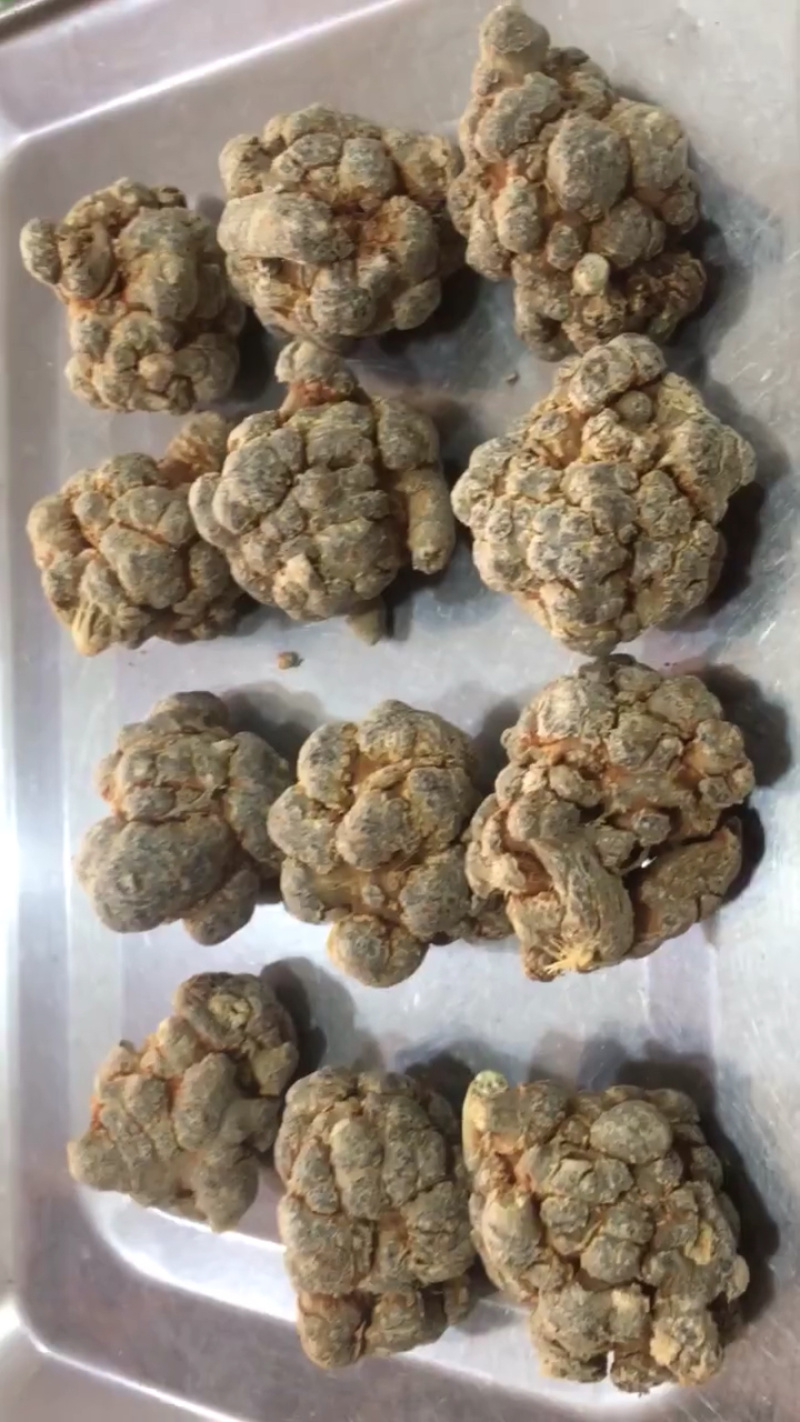 水洗12头带帽文山四年七量大价优/可视频看货/包邮